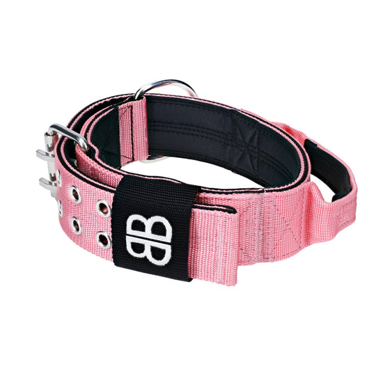 5cm Sporting Dog Collar - WITH HANDLE - Pink