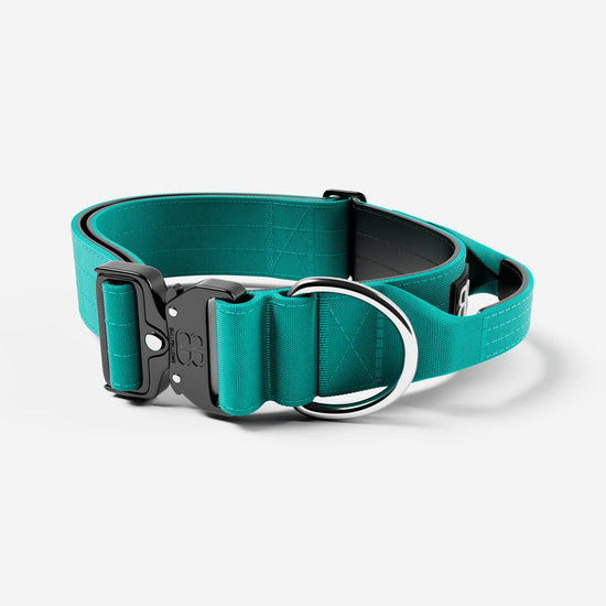 5cm Combat® Dog Collar - Turquoise v2.0