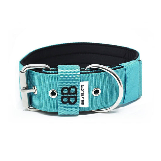 5cm Nylon Dog Collar - Turquoise v2.0